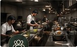 A professional kitchen team during service
